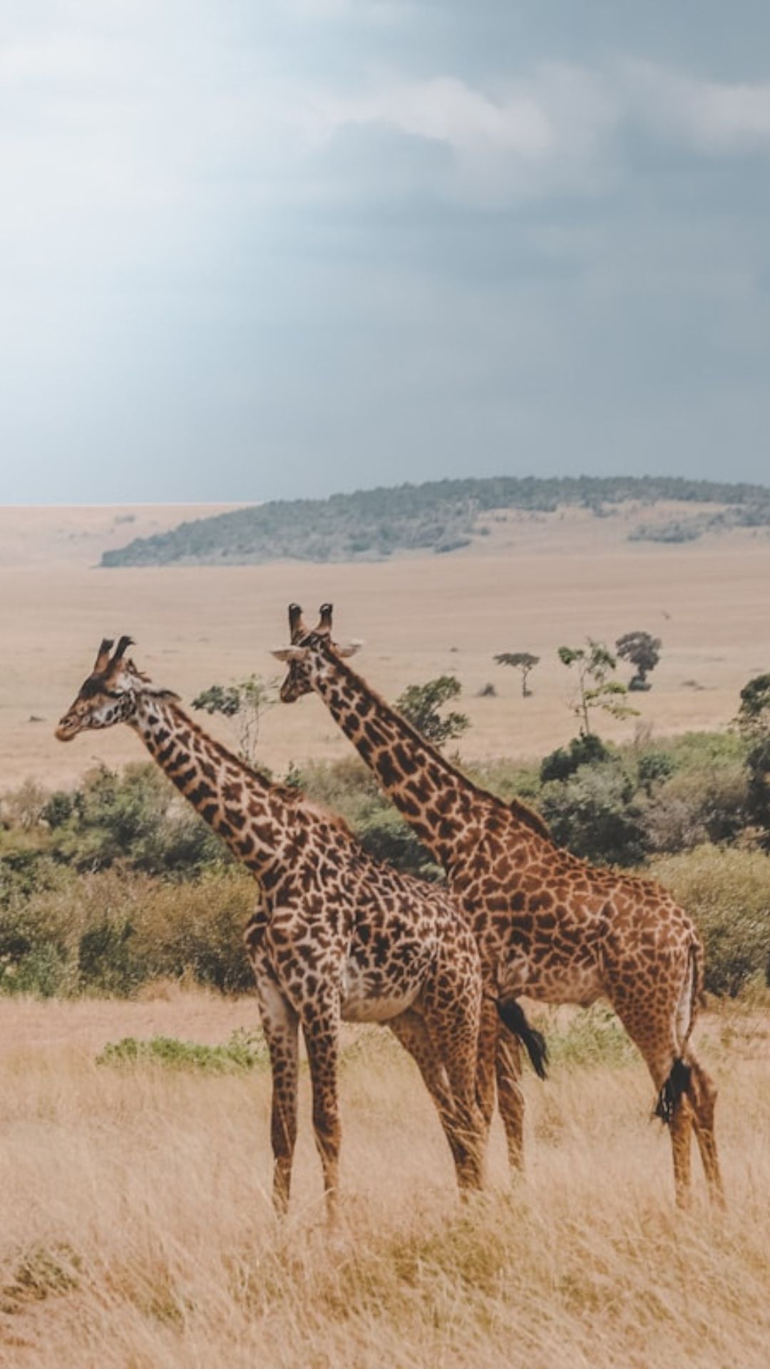 Kenya