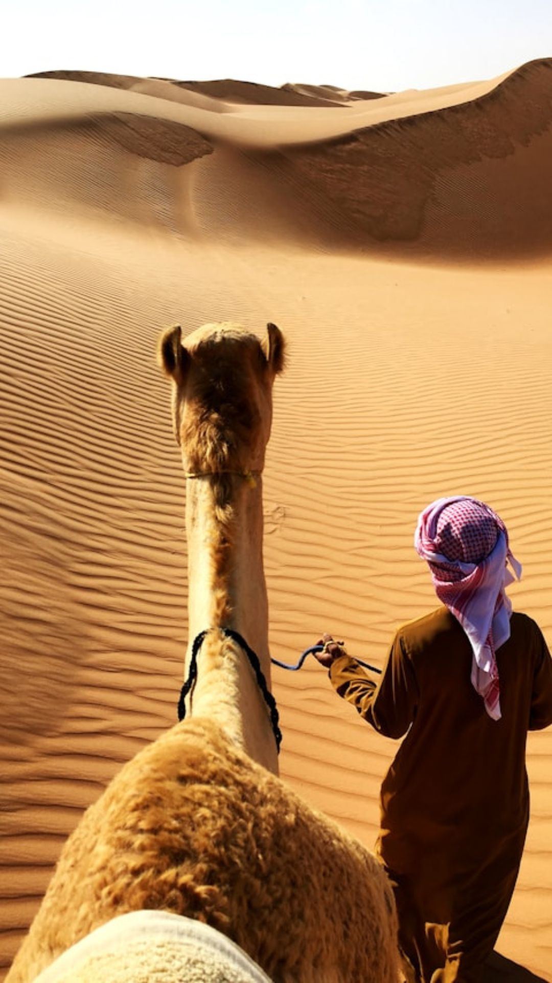 Middle East and North Africa