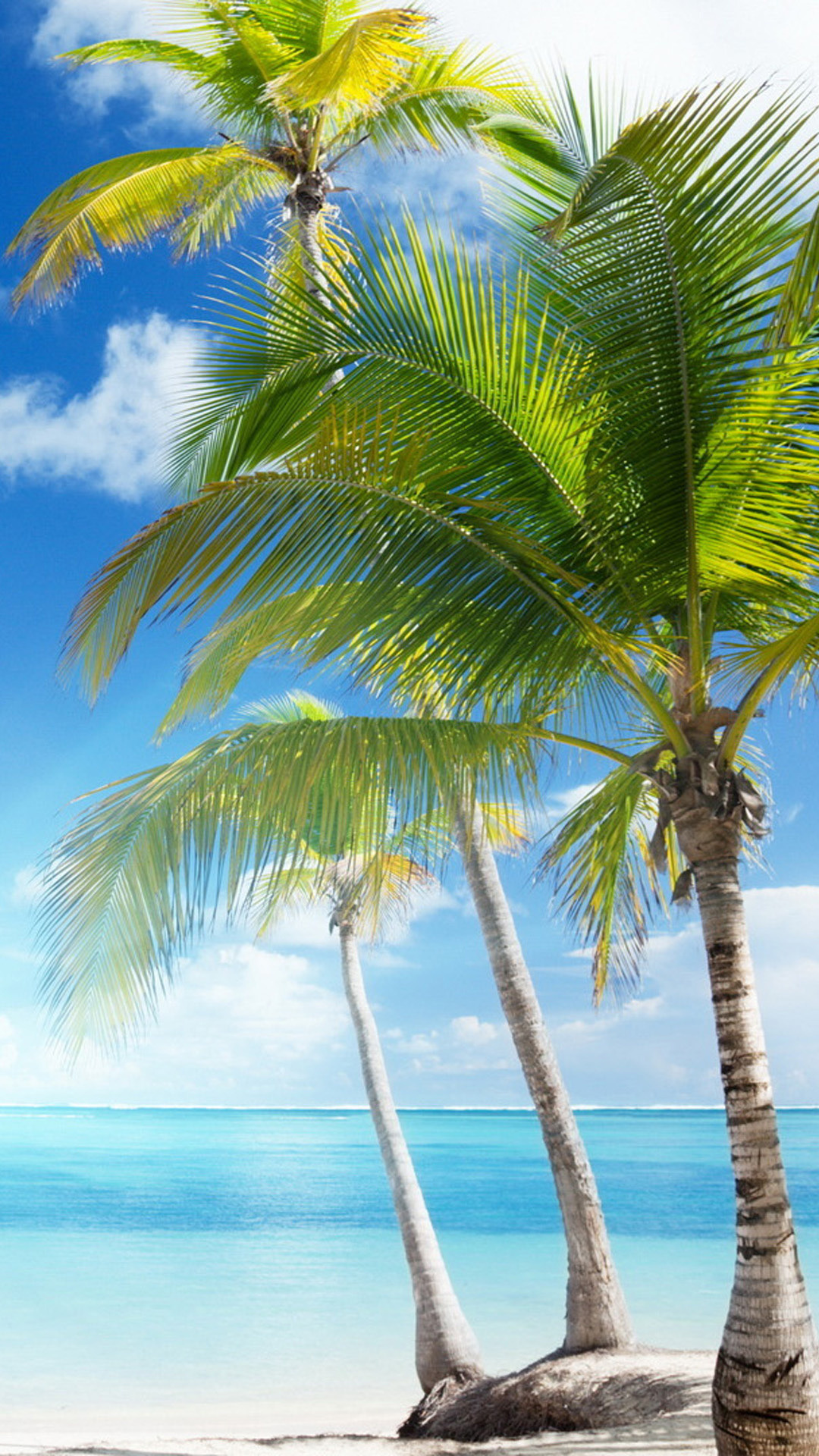 Tonga